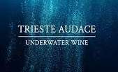 Trieste Audace - Underwater Wine